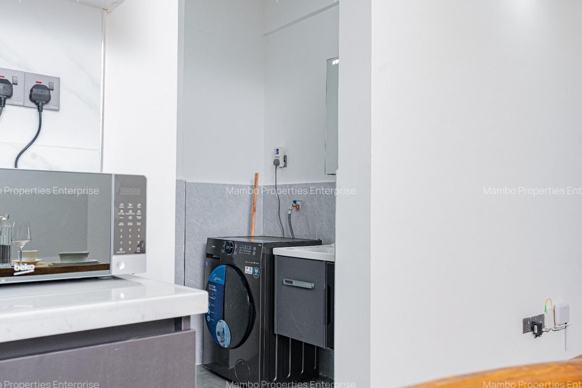 Serviced 1 Bed Apartment with En Suite at David Osieli - 14