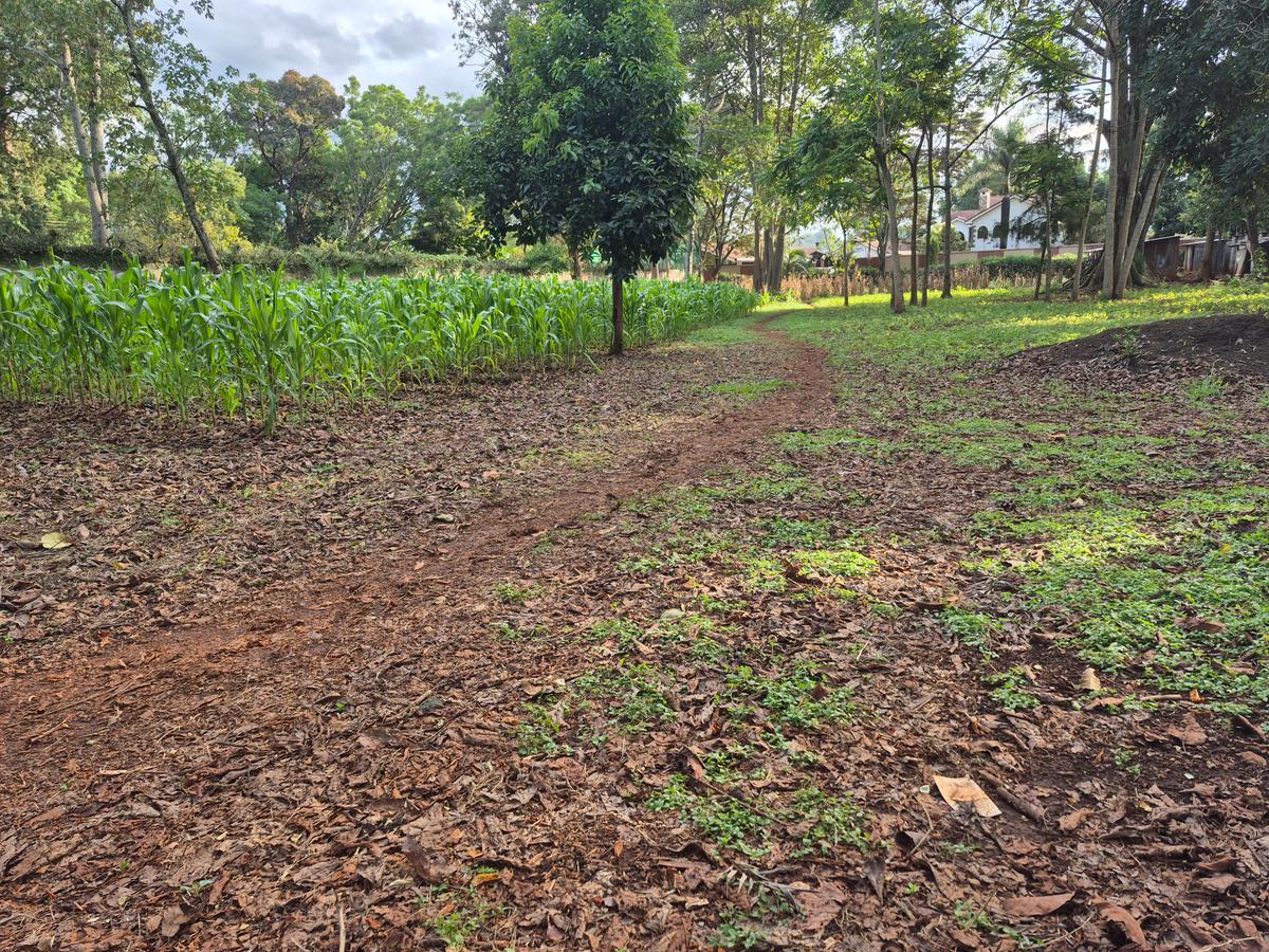 Land in Thigiri - 6