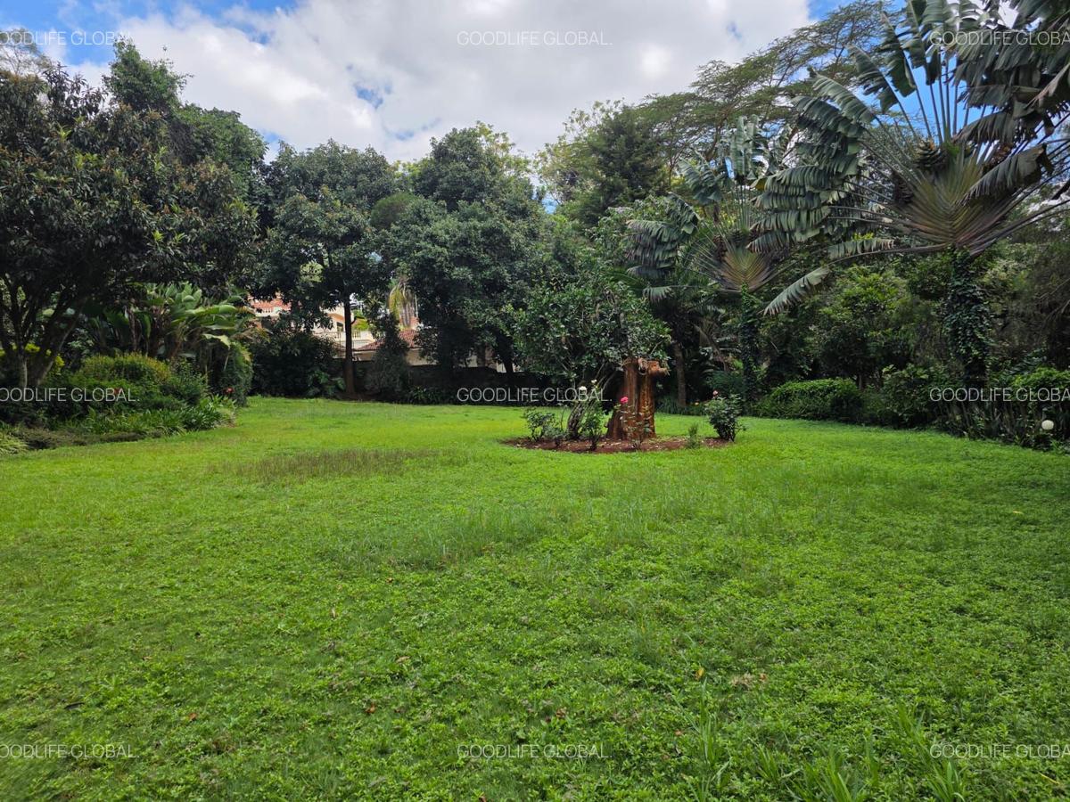 Furnished Commercial Property with Service Charge Included at Kyuna - 18