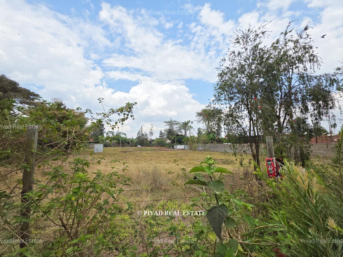 0.5 ac Land in Thome - 3