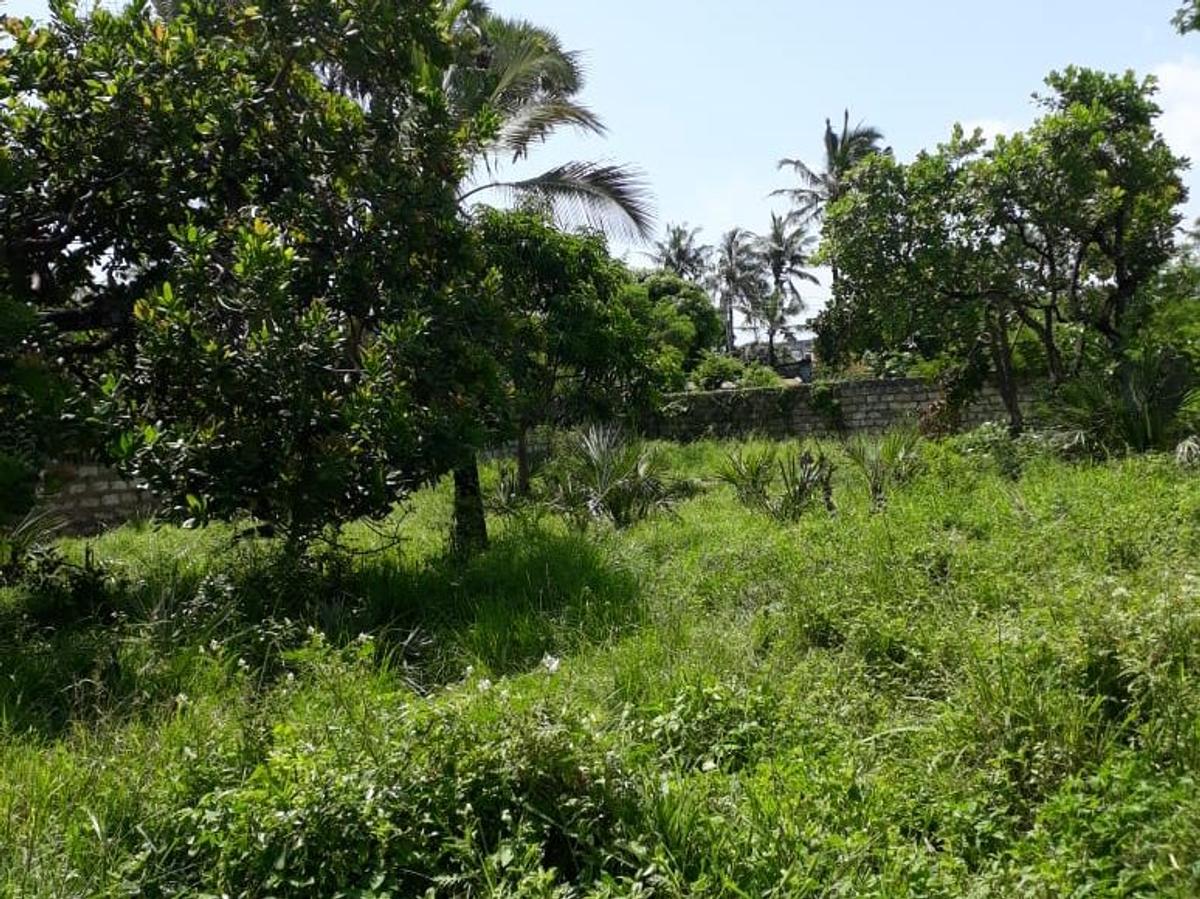 2,024 m² Residential Land in Bamburi - 4