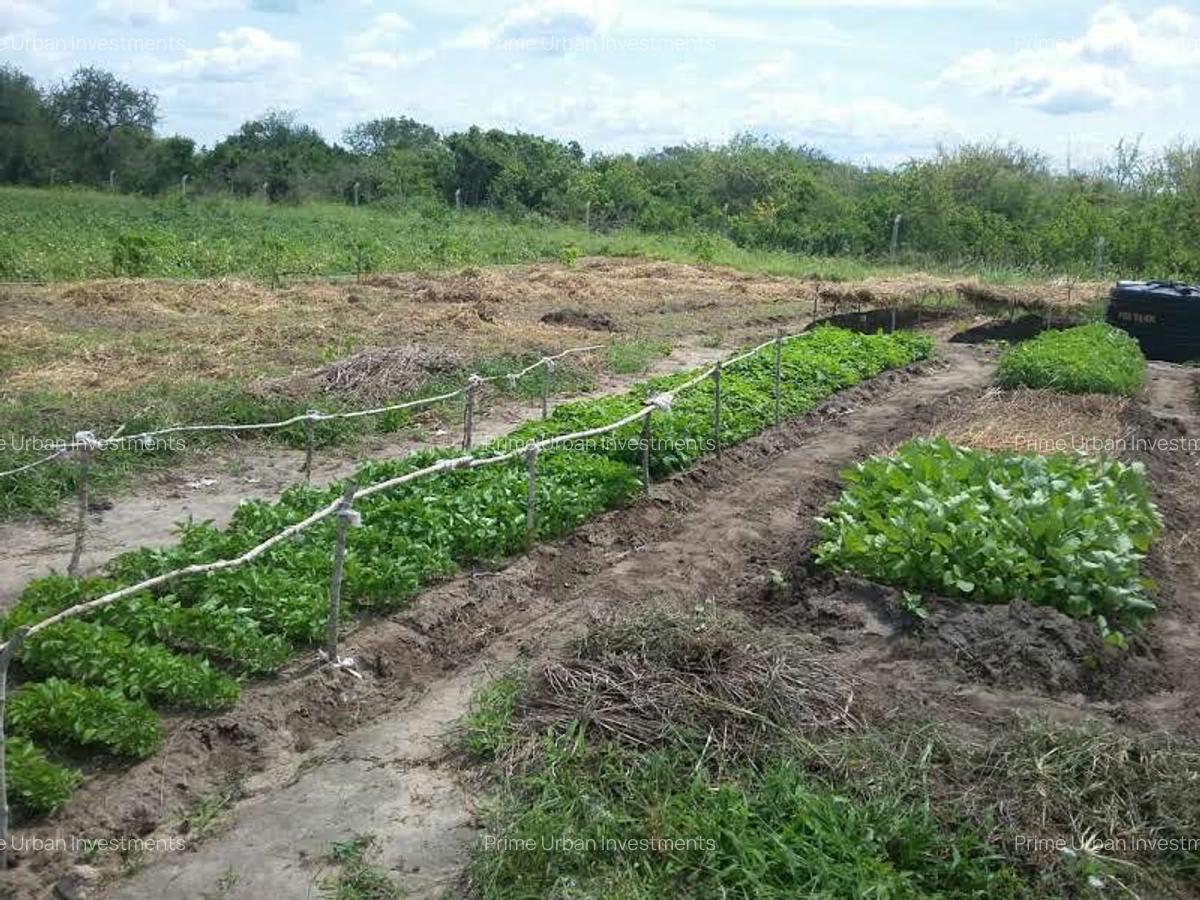 Land in Malindi - 11