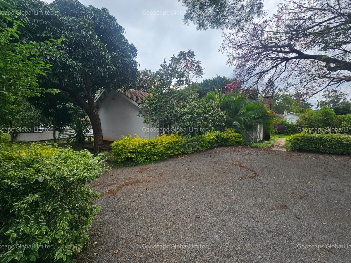 Commercial Property with Parking in Lavington - 1
