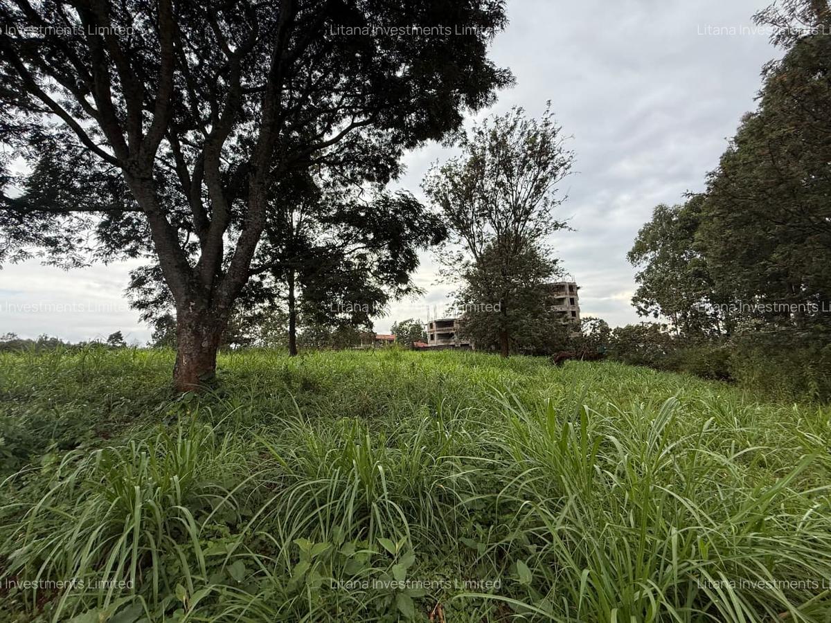 0.5 ac Land in Ruaka - 3