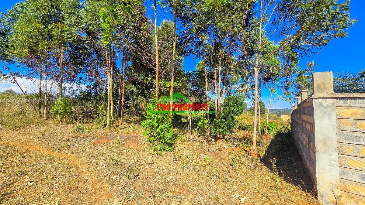 0.05 ha Residential Land at Lusigetti - 4