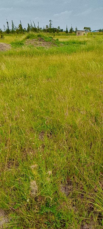 Land in Joska - 10