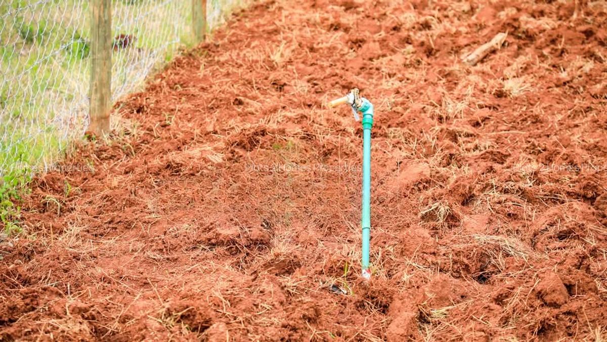 500 m² Residential Land at Nairobi Ndogo Estate - 7