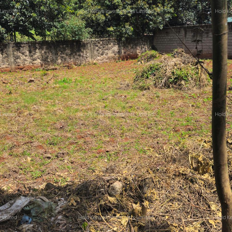 0.25 ac Land at Nyati Drive - 1