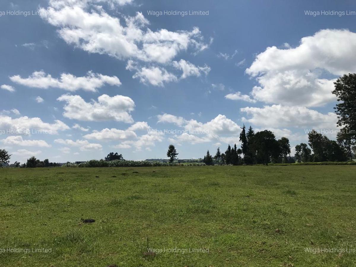 21 ac Land in Cianda - 4