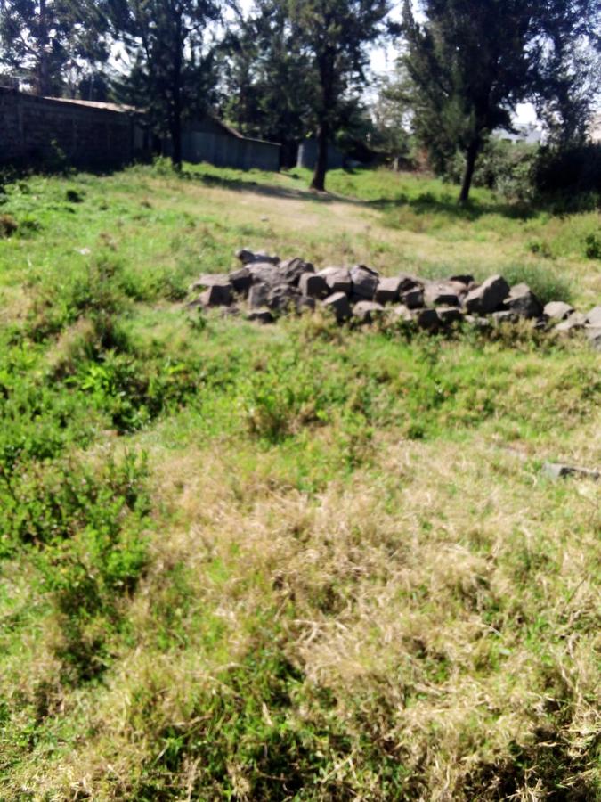 0.5 ac Land at Bulbul Ngong Nairobi Town - 4