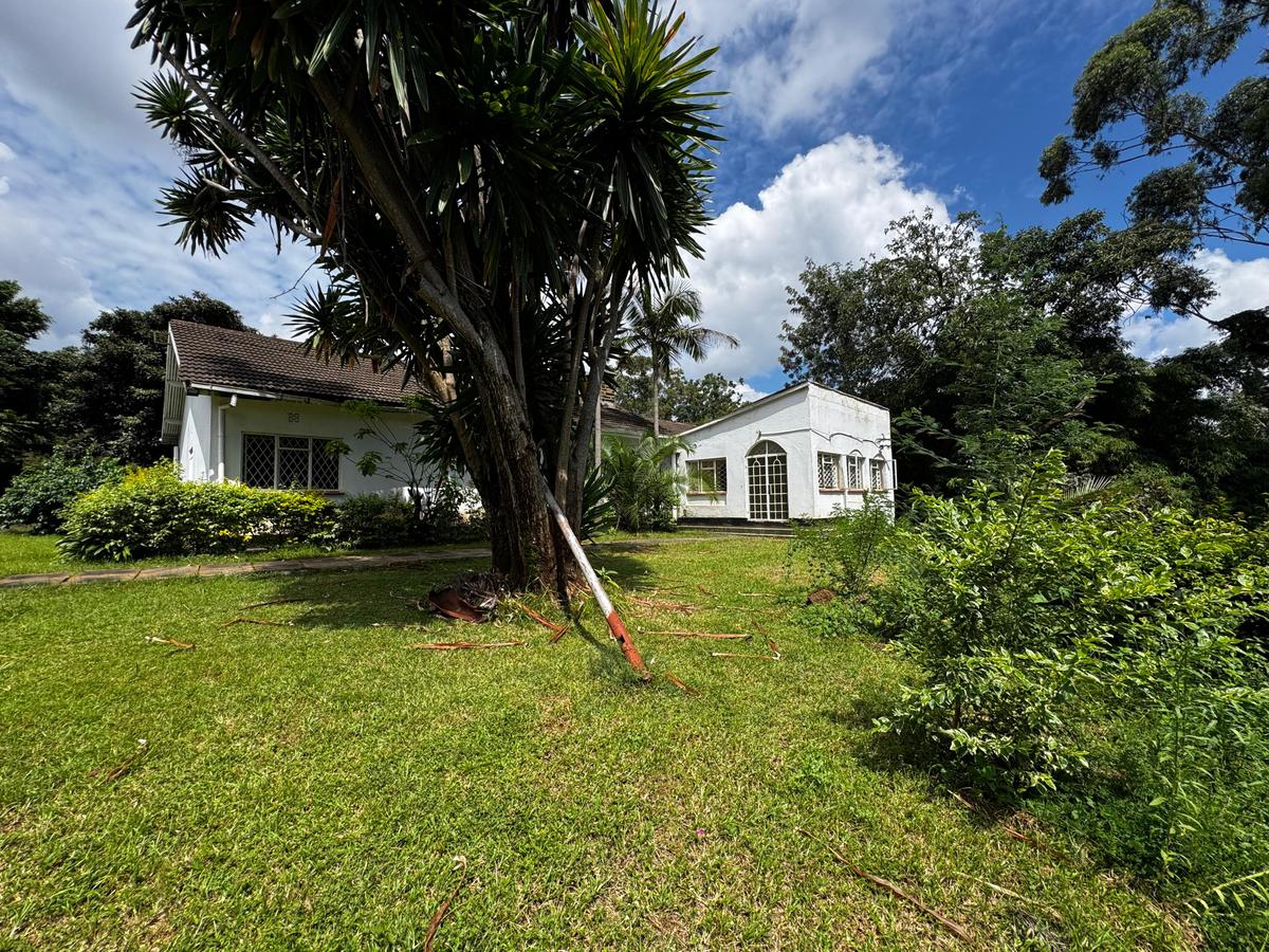 1 ac Commercial Property with Parking in Riverside - 5