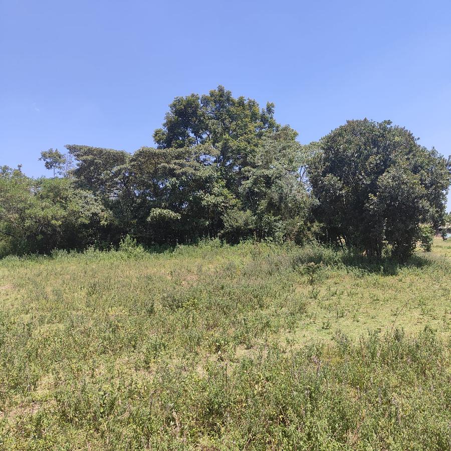 1 ac Land at Ndovu Road - 8