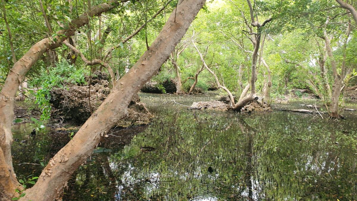 7 ac Land in Watamu - 7