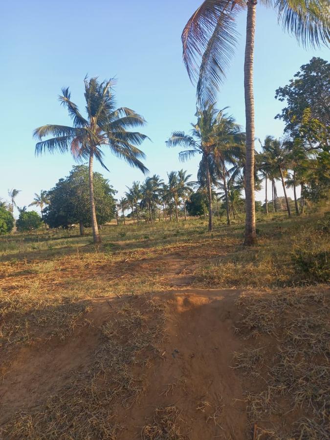 Land at Mavueni Kaloleni Road - 2