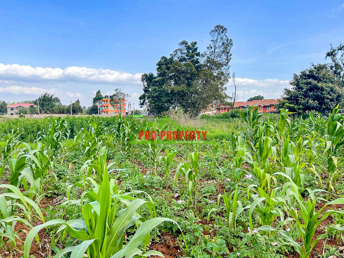 0.05 ha Commercial Land at Sigona - 10