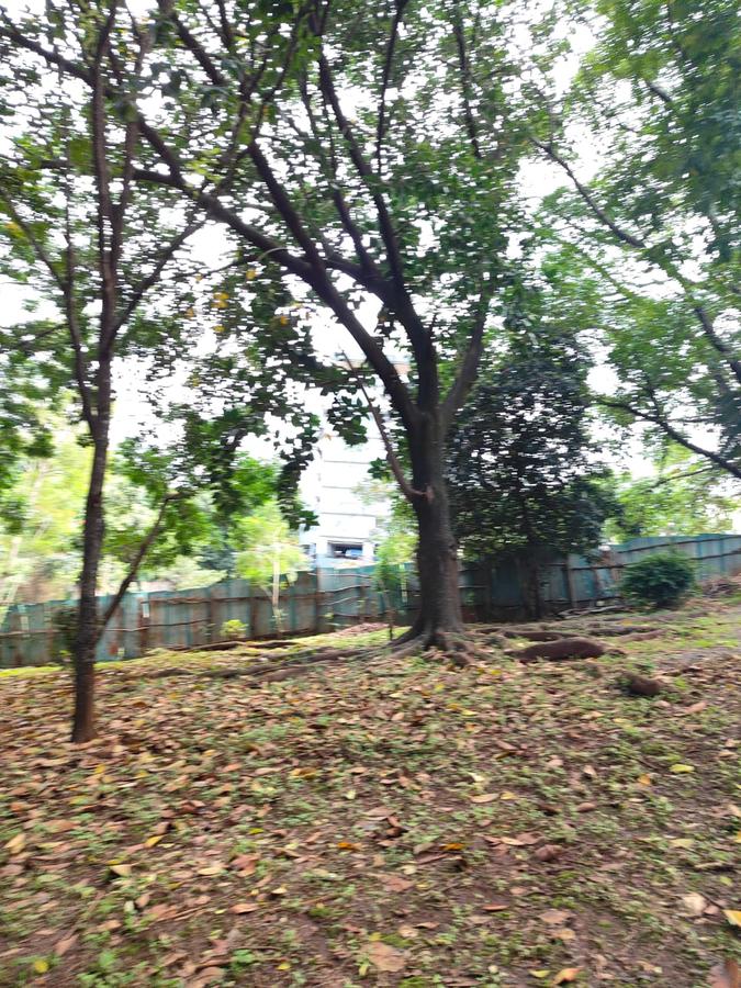 2 ac Land at Lantana Road - 11