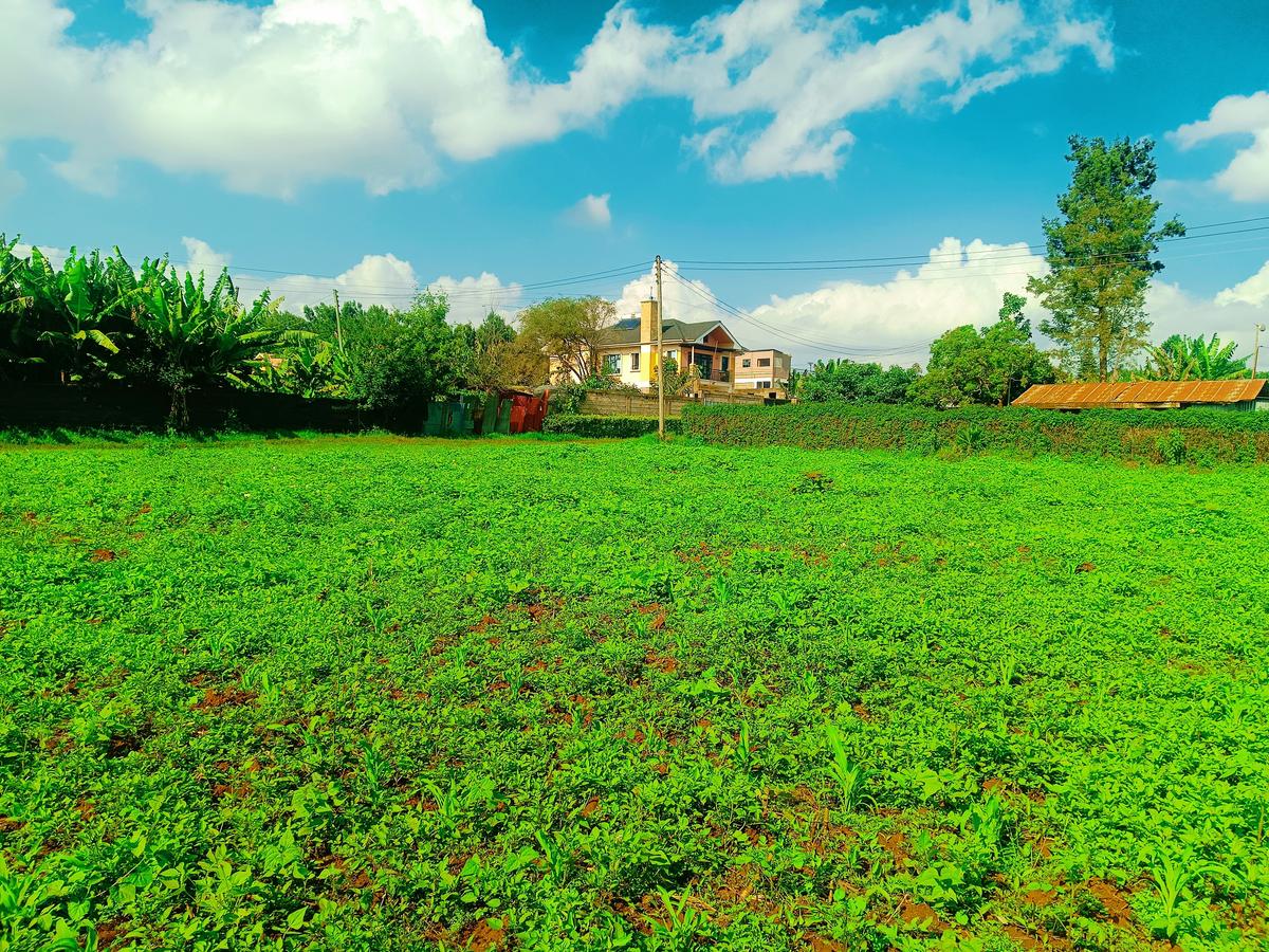 1,000 m² Residential Land at Ondiri - 1