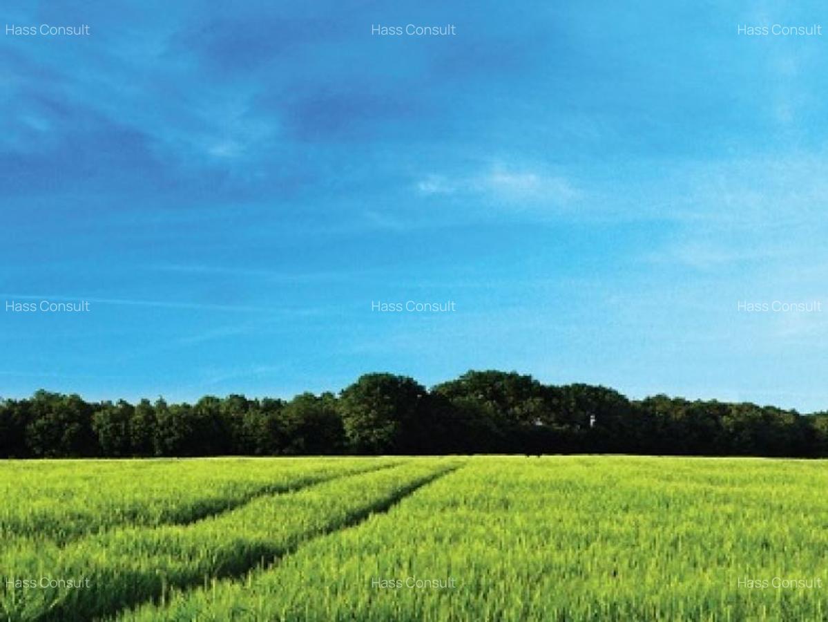 8,094 m² Land at Pipeline Rd - 2