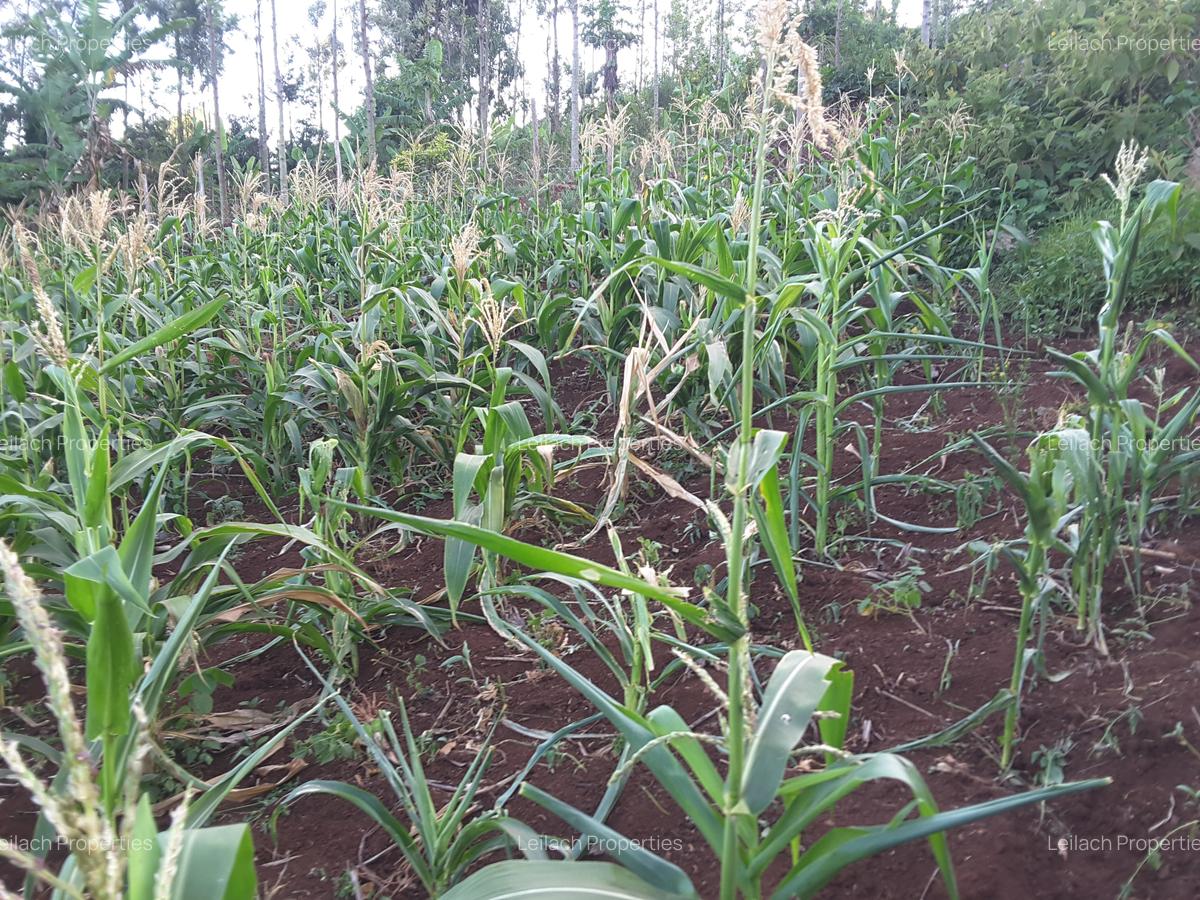 0.113 ac Residential Land in Ngong - 15