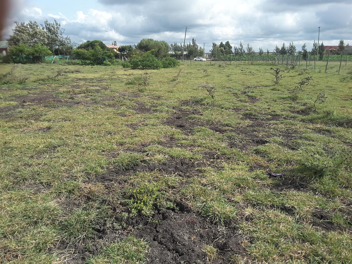 0.1 ha Residential Land in Ongata Rongai - 12