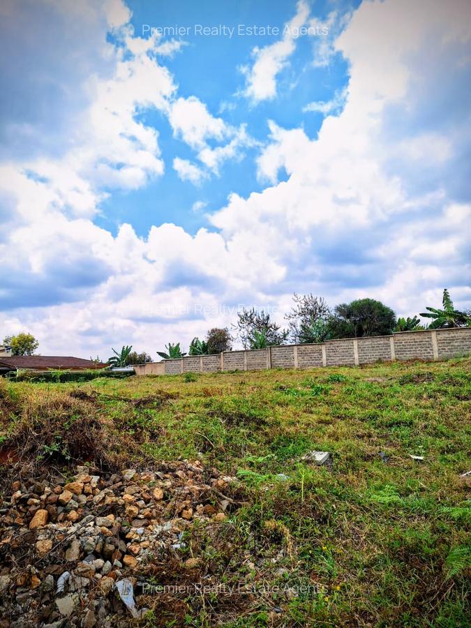 0.25 ac Residential Land at Tigoni - 13