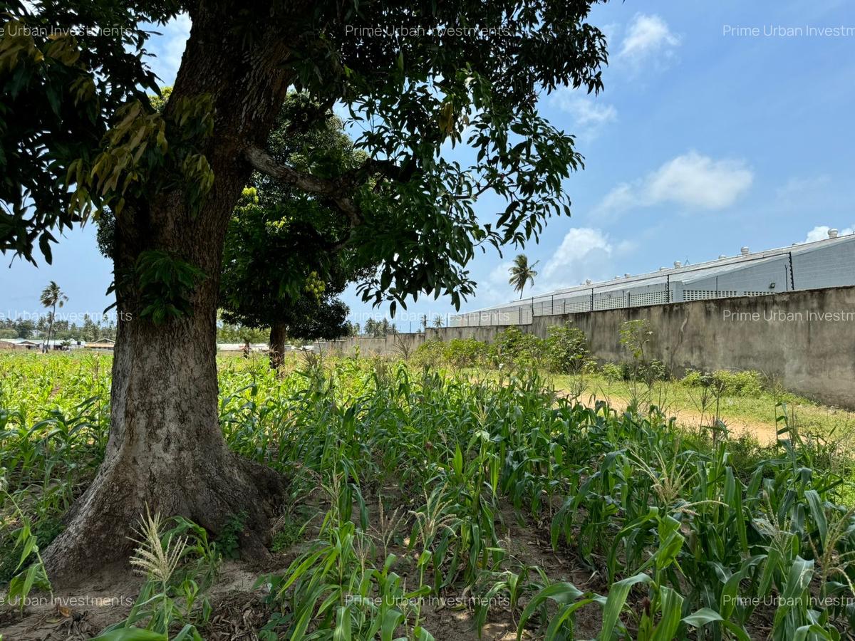 Land in Mtwapa - 1