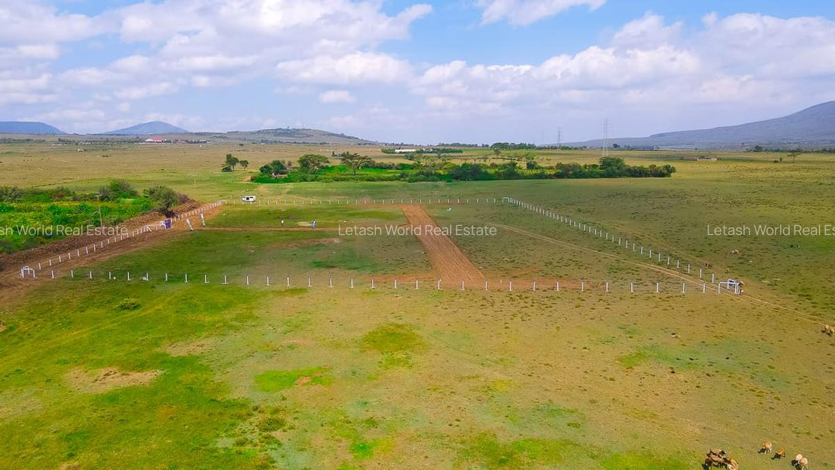 Residential Land in Naivasha - 7