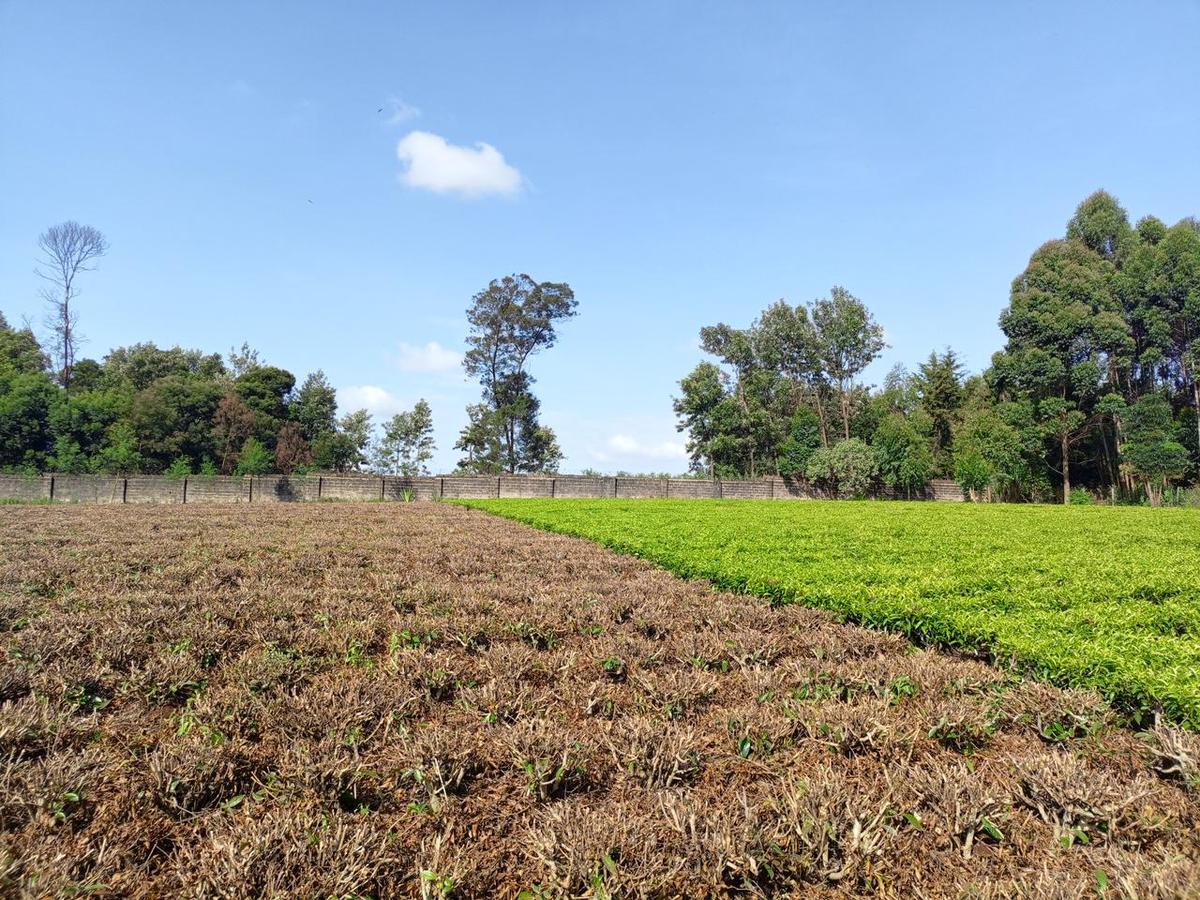 1 ac Land in Tigoni - 12