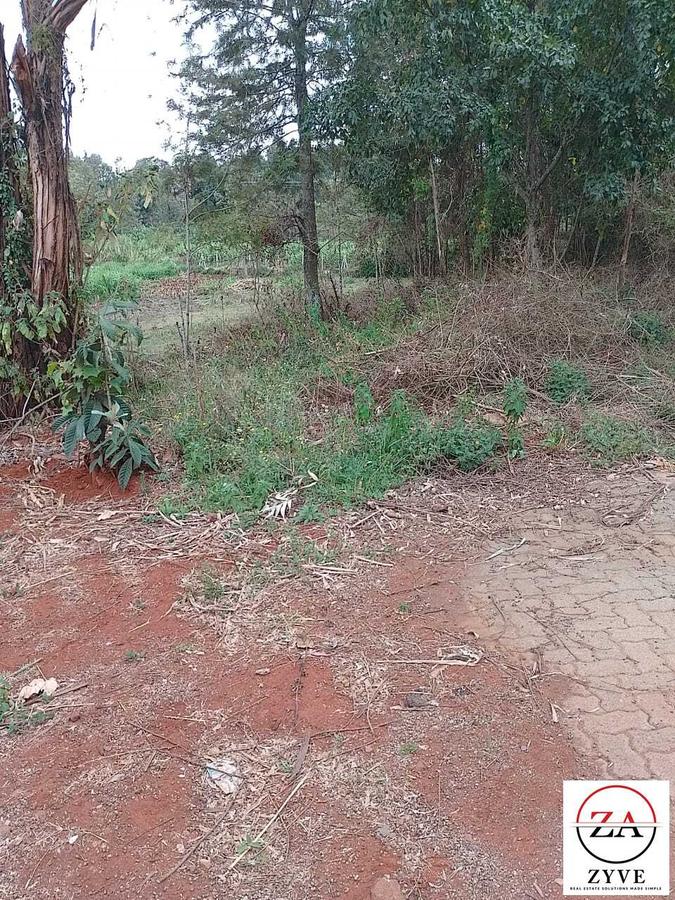 0.25 ac Land at Kerarapon Drive - 1