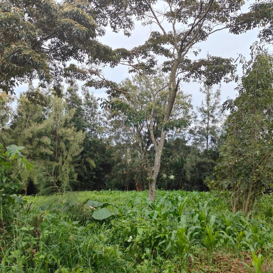 1 ac Land at Ngong - 20