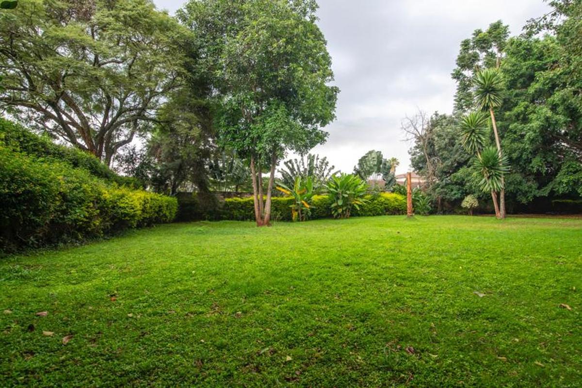 1.25 ac Land in Lavington - 7