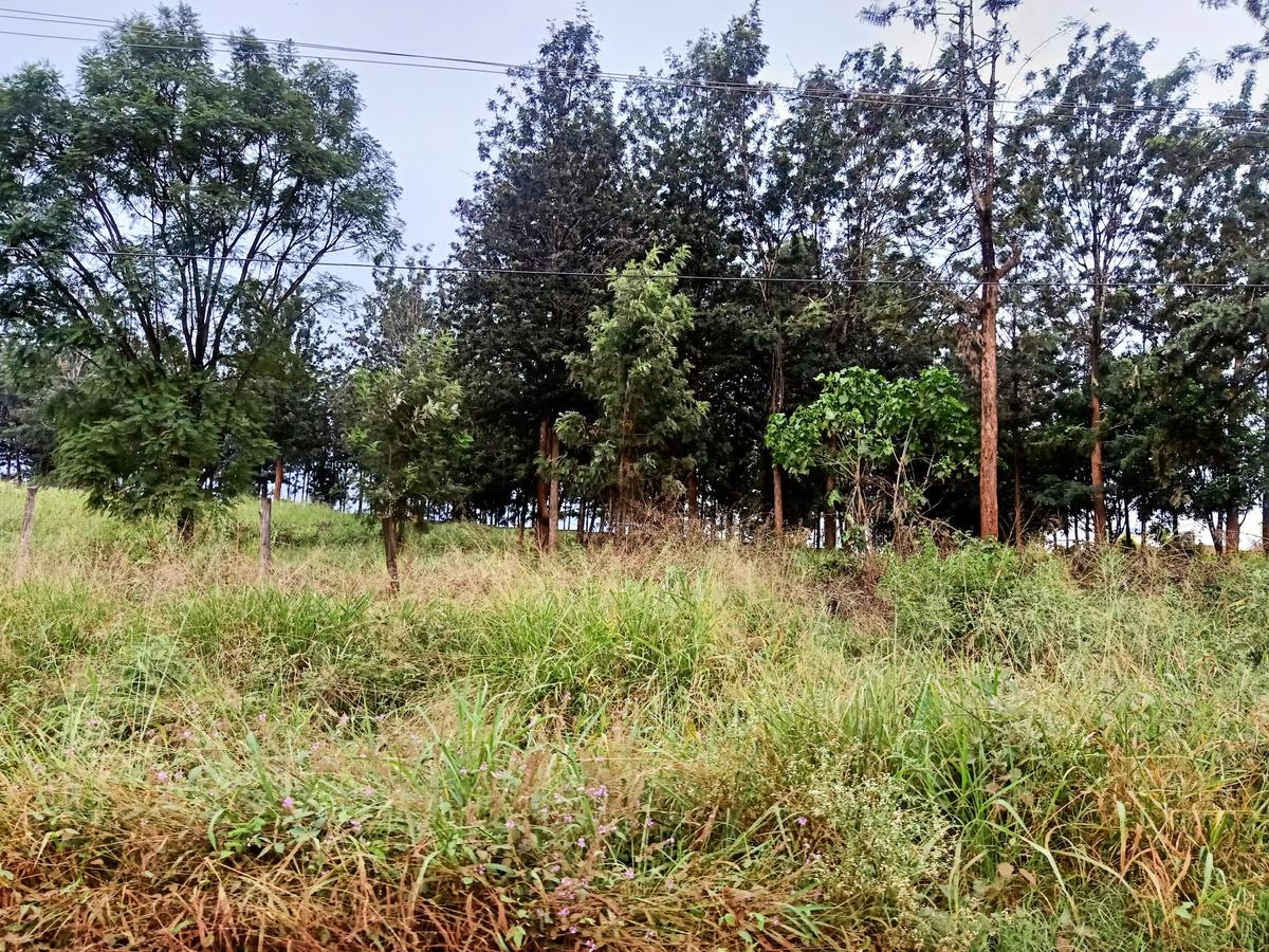 5 ac Land at Behind The New Runda Mall Along Kiambu Road - 3