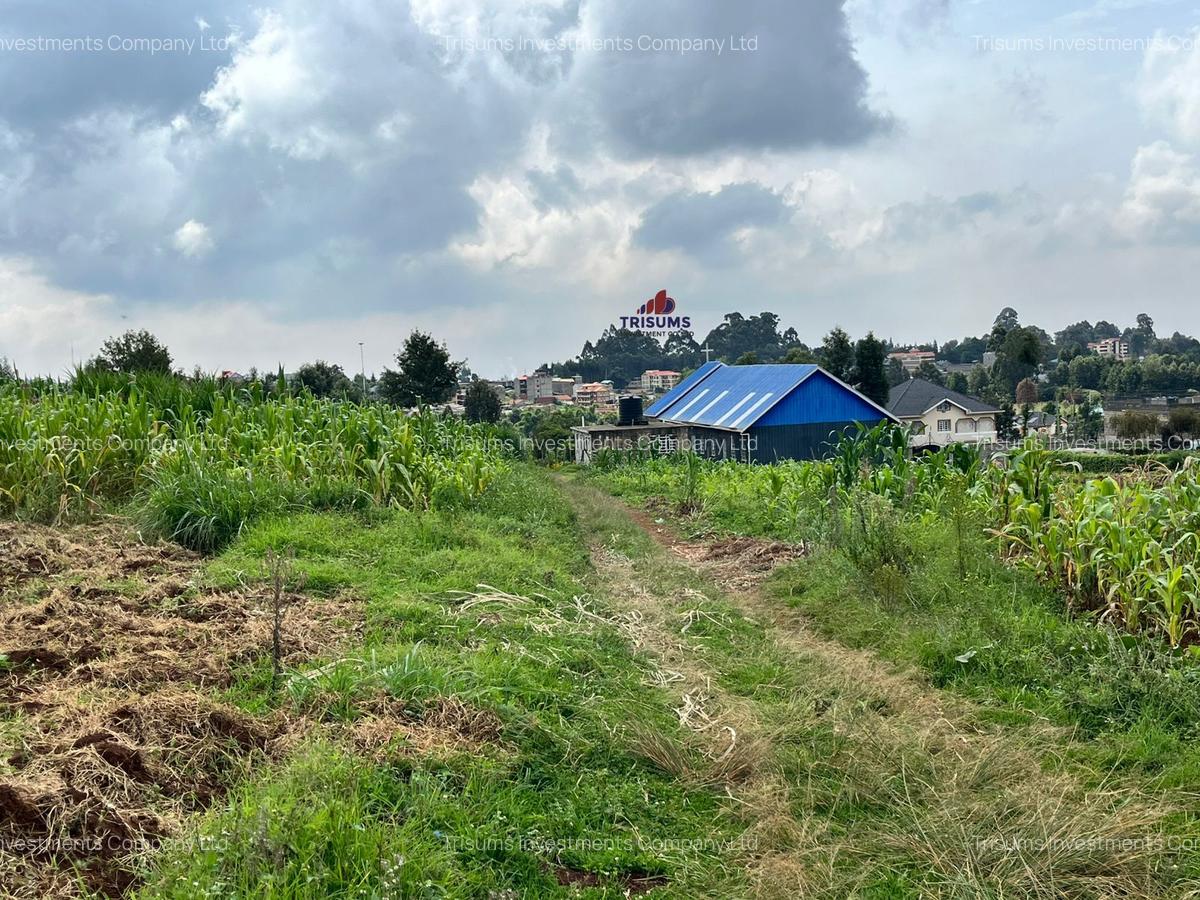 10 ac Land at Tigoni - 7