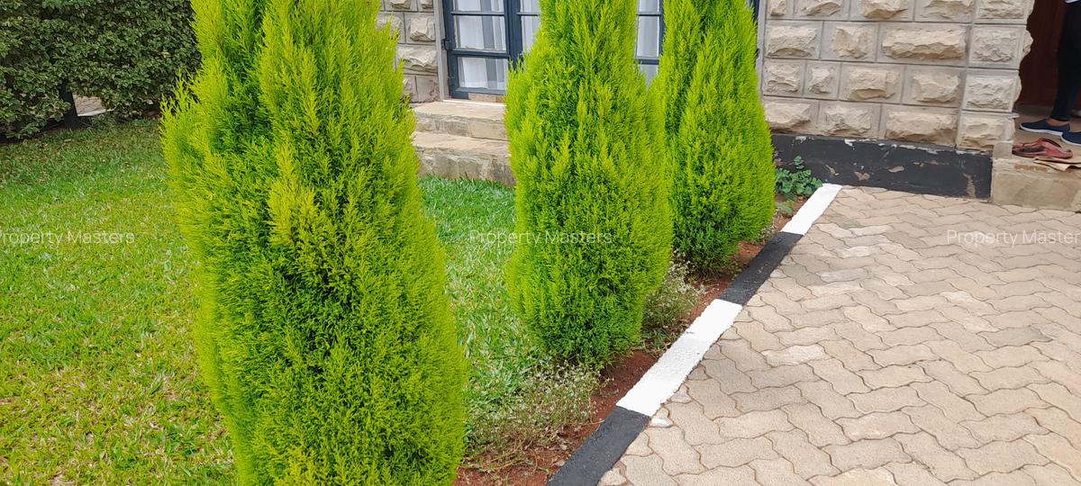 4 Bed Villa with En Suite at Ruiru Githunguri Road - 6