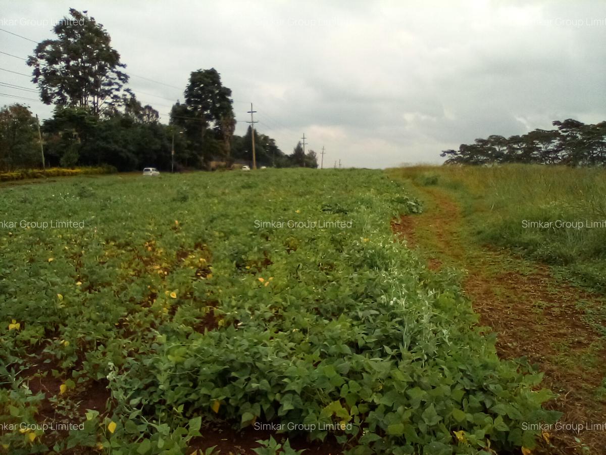 Commercial Property at Red Hill Rd - 4