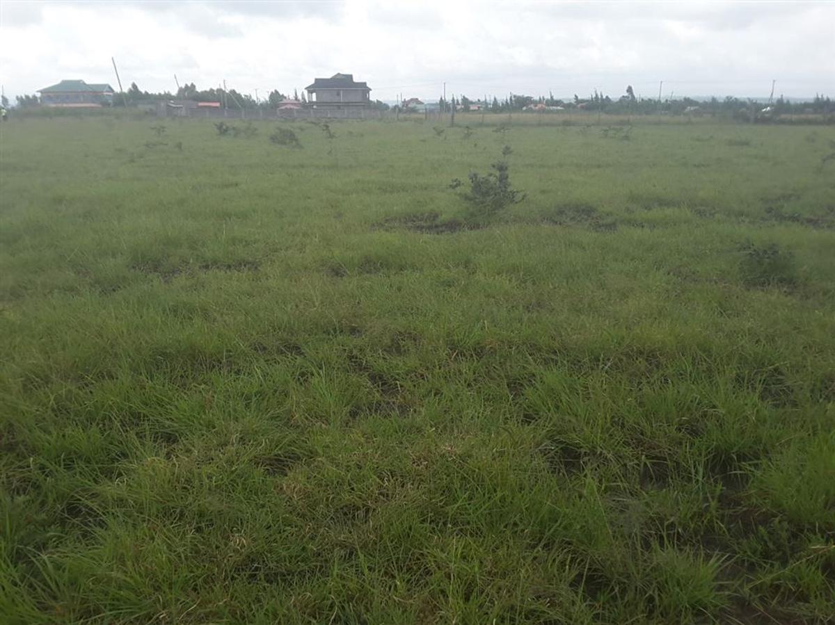 0.1 ac Residential Land in Ongata Rongai - 11