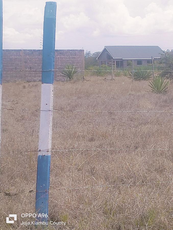 Residential Land in Juja Farm - 14