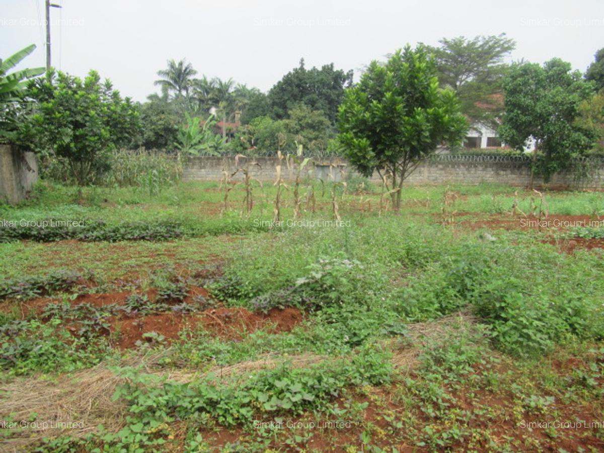 Residential Land at Runda - 5