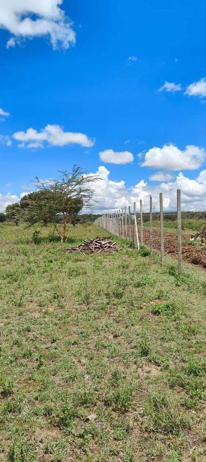 0.125 ac Residential Land at Moi South Lake Road - 1