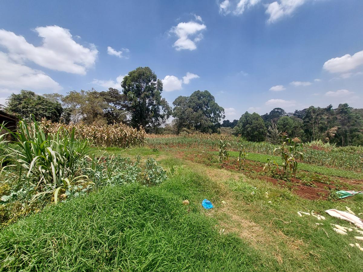 Residential Land at Kinanda Road - 14