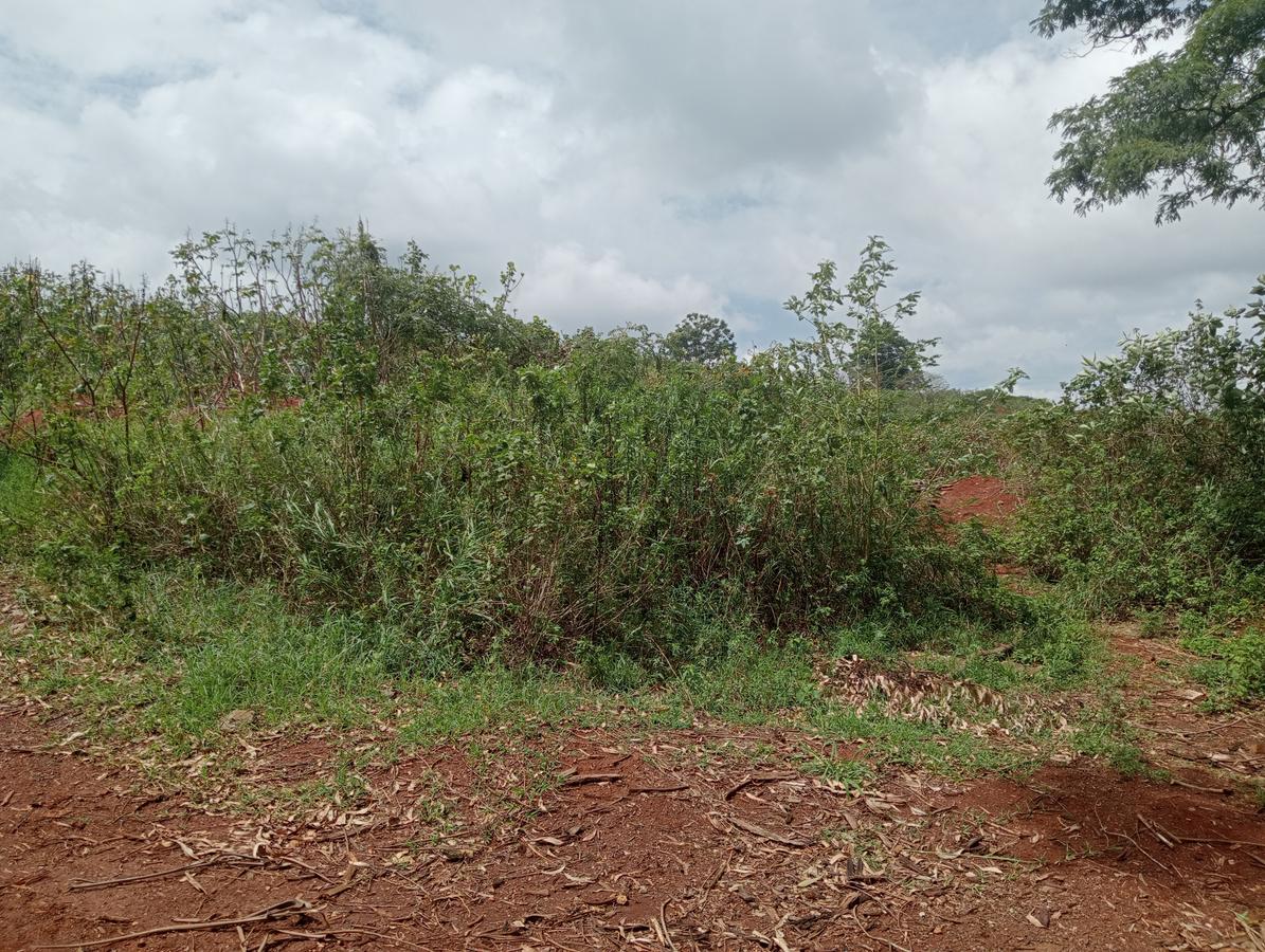 Residential Land in Runda - 2