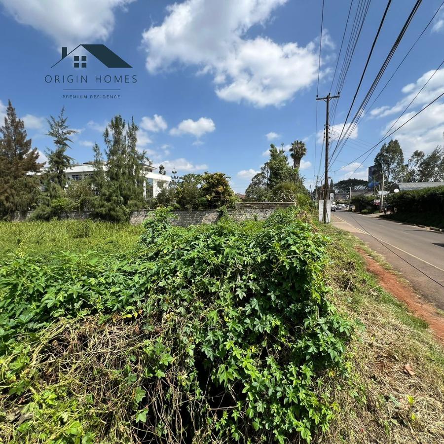 0.5 ac Land at Un Avenue - 1