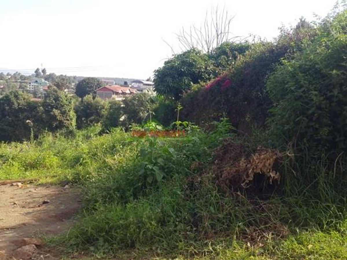 500 m² Commercial Land in Kikuyu Town - 8