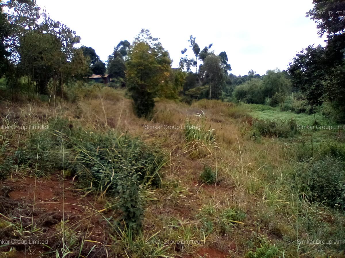Land at Wangige - 10