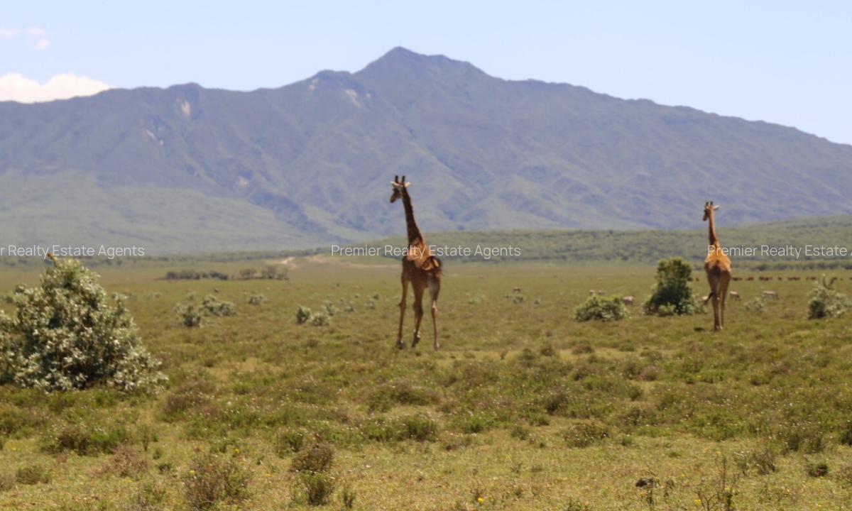 1 ac Residential Land at Naivasha - 5