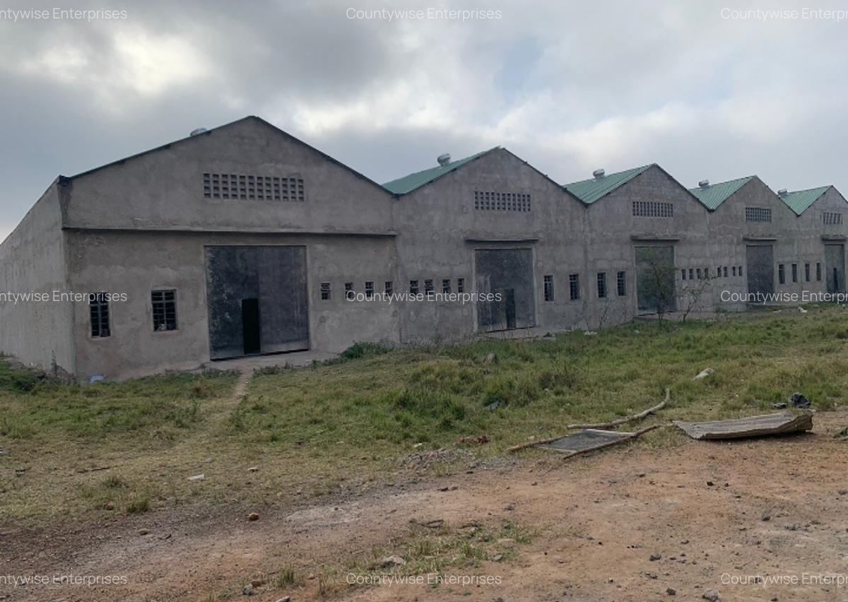 Warehouse in Juja - 2