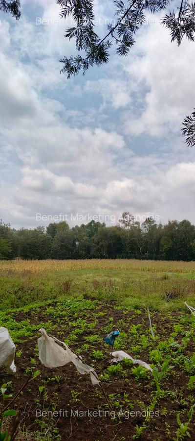 4 Bed House with Staff Quarters at Memusi - 3