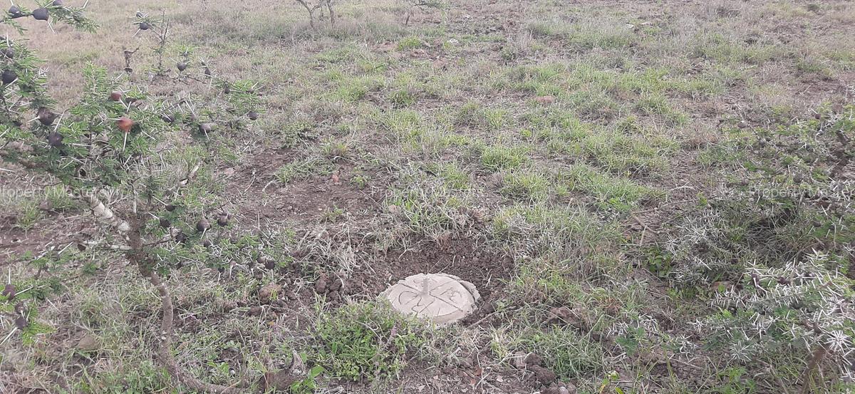 Residential Land at Leshaoo - 6