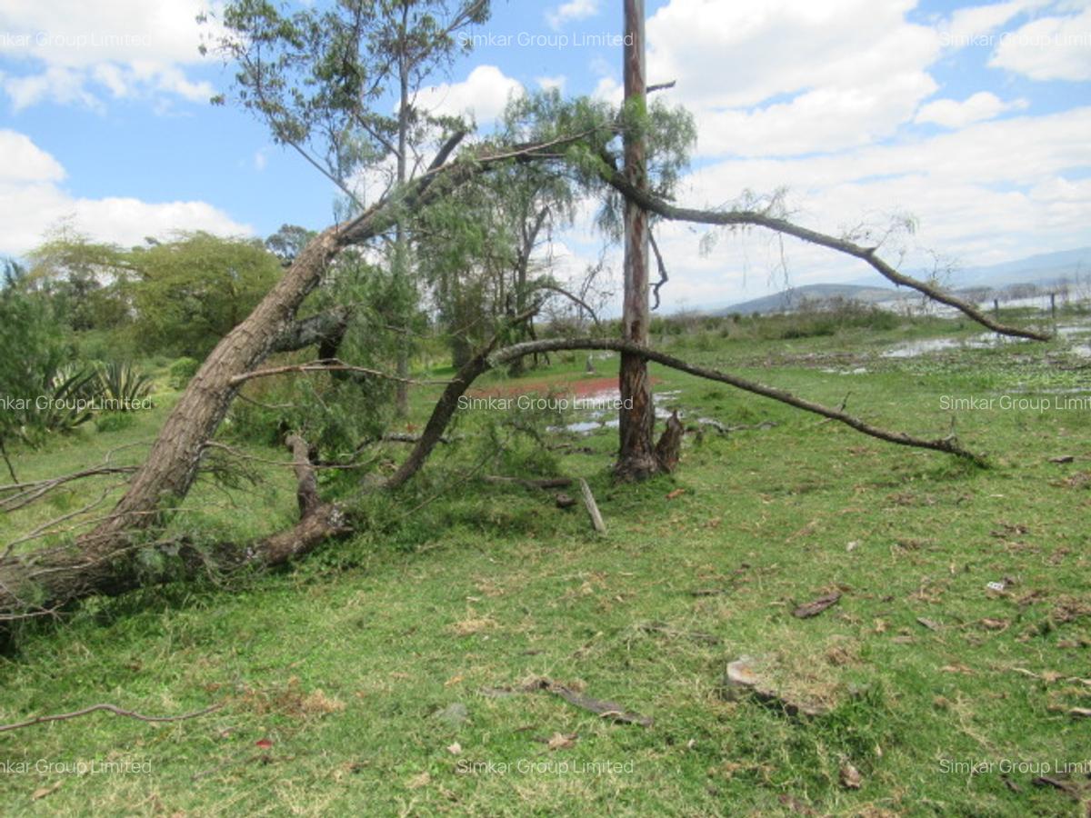 25 ac Land at Moi S Lake Rd - 8