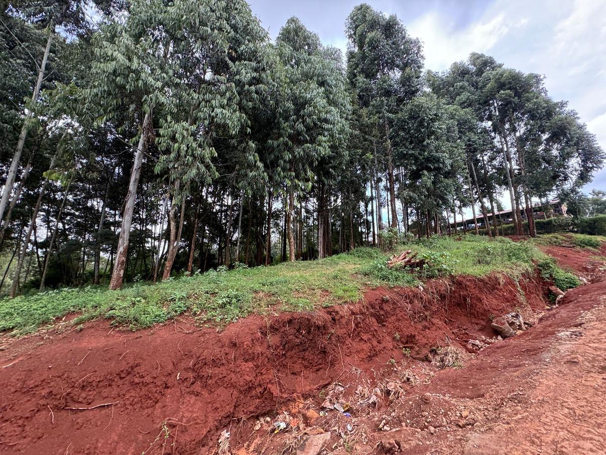 Land in Uthiru - 4